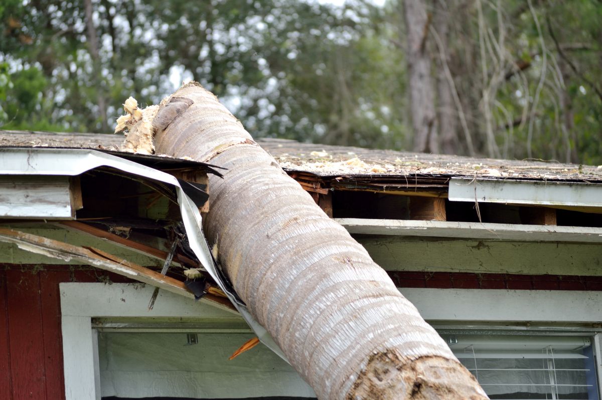tree log on top of a roof damage after storm