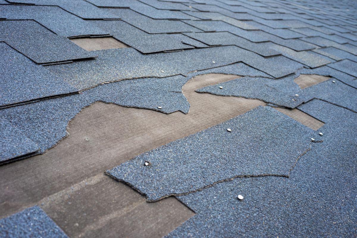 missing shingles blue roof granule loss