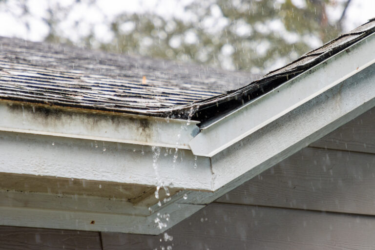 storm damage roof repair rain on shingles