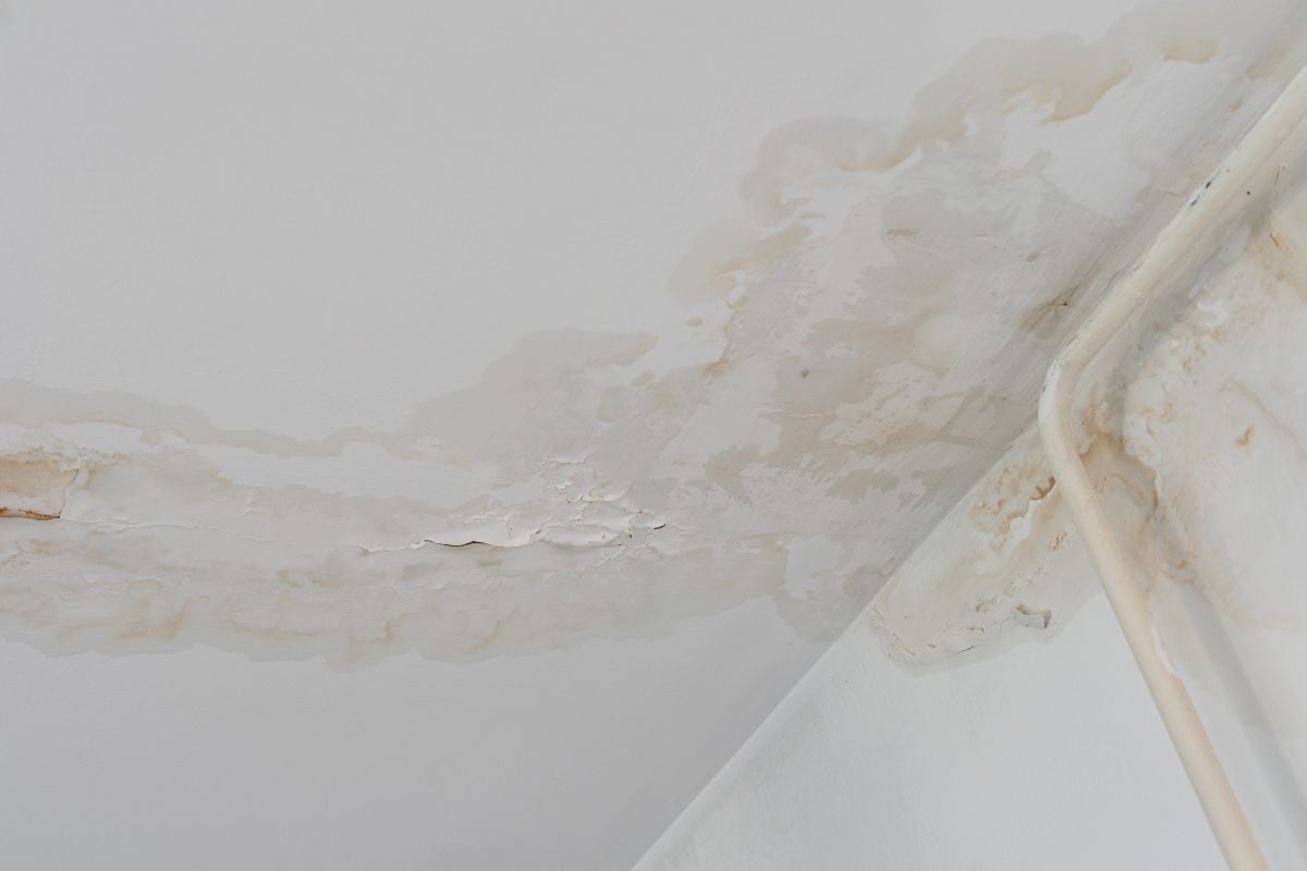 Water stain on white ceiling.