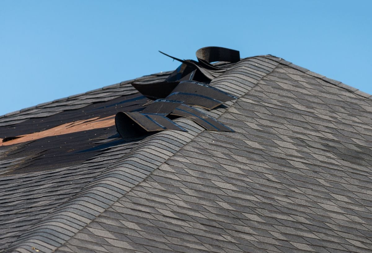 shingles coming of after storm damage